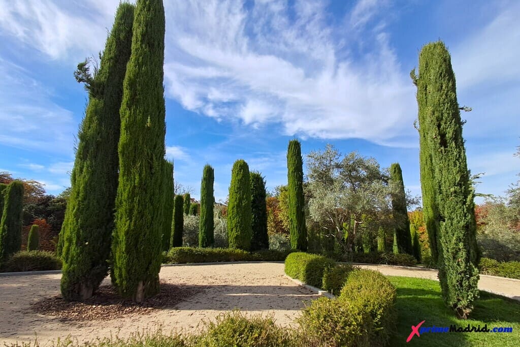 Cima del Bosque del Recuerdo en el Retiro