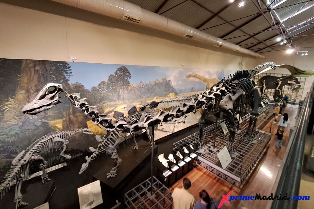 Diplodocus Museo de Ciencias Naturales