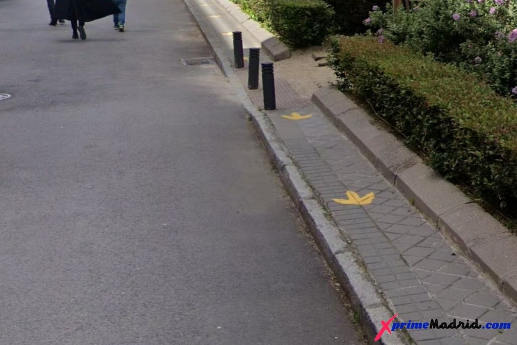 Huellas de dinosaurio Museo de Ciencias Naturales