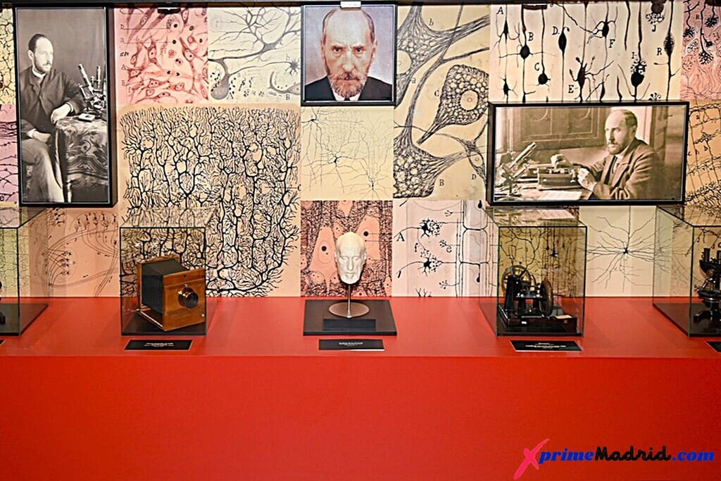 Instrumentos de Ramón y Cajal Museo Ciencias Naturales