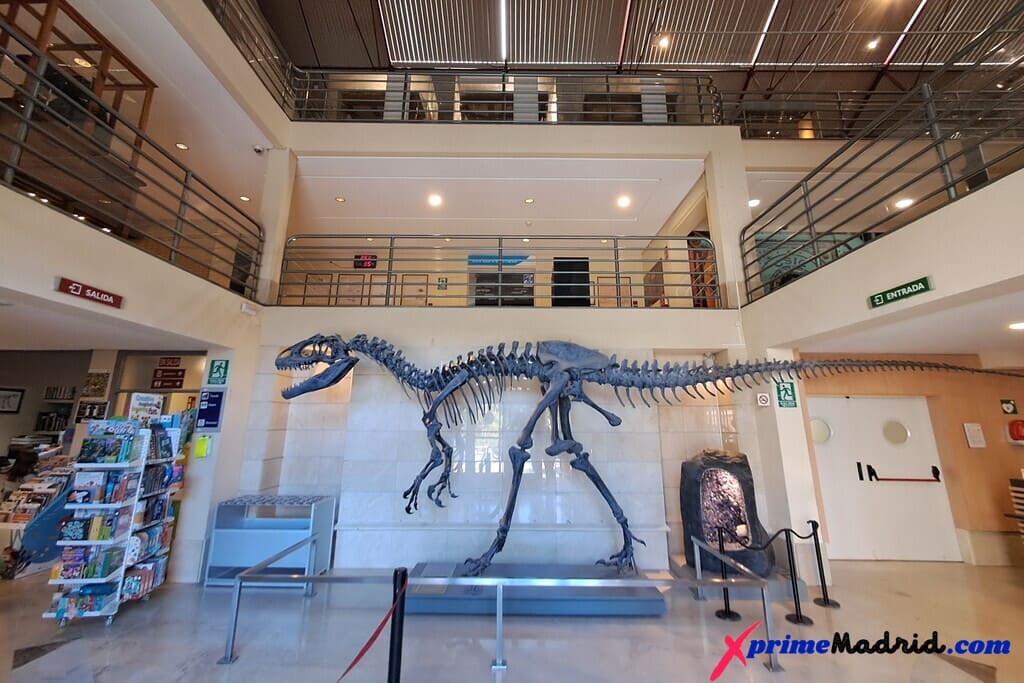 Museo Nacional de Ciencias Naturales Entrada Edificio Geología