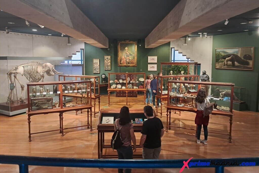 Real Gabinete de Historia Natural Museo de Ciencias Naturales