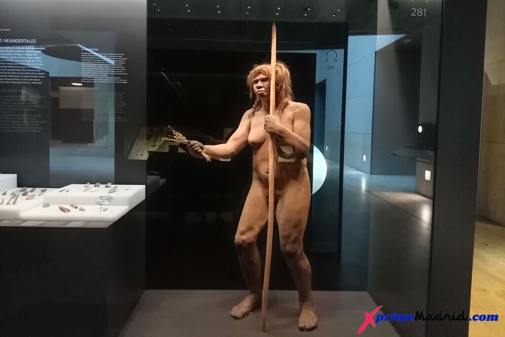 Neandertal en el Museo Arqueológico