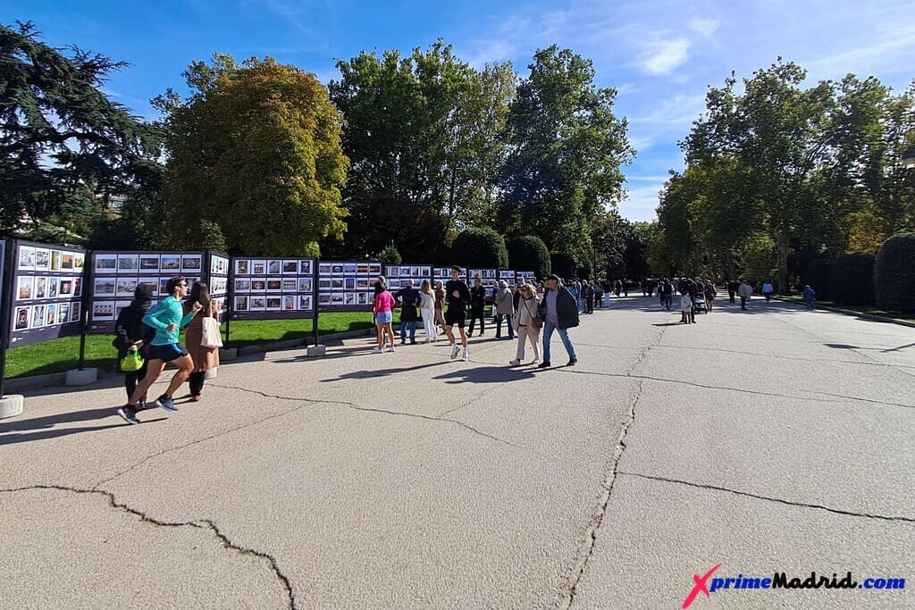Paseo de Coches en el Parque del Retiro