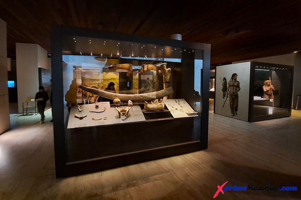 Prehistoria en Museo Arqueológico Nacional