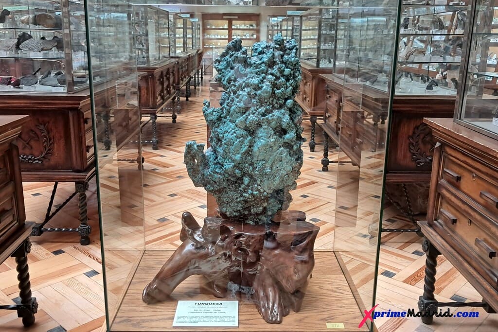 Colección de minerales y rocas del Museo Geominero