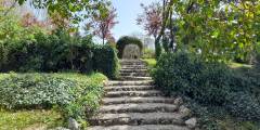 Escalera hacia la Rosaleda del Campo del Moro